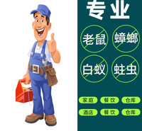 井湾除虫灭鼠 灭蟑螂 蚂蚁 果蝇 除四害快速上门